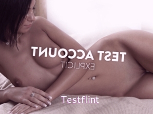 Testflint
