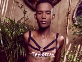 Teylorray