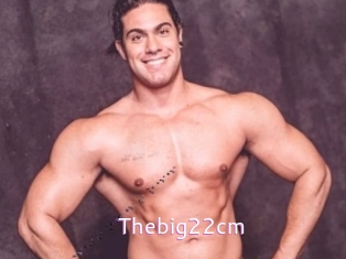 Thebig22cm