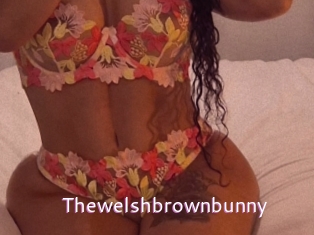 Thewelshbrownbunny