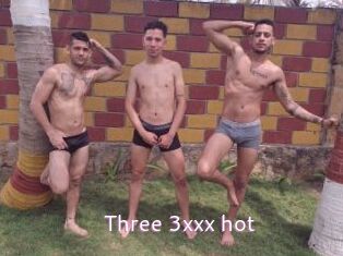 Three_3xxx_hot