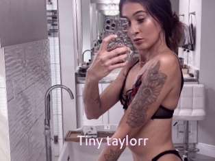 Tiny_taylorr