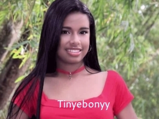 Tinyebonyy