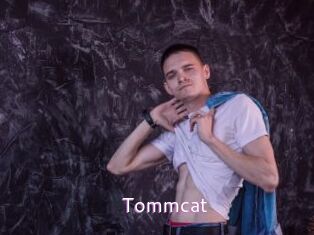 tommcat Just Amateurs