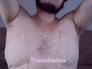 Transshadow