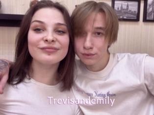 Trevisandemily