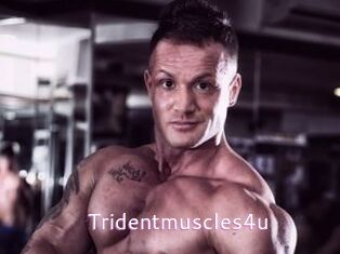 Tridentmuscles4u