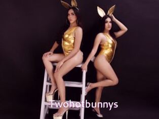 Twohotbunnys