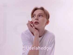 Udelahedge