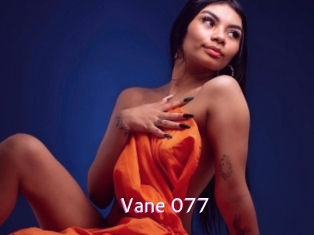 Vane_077