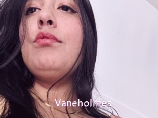 Vaneholmes