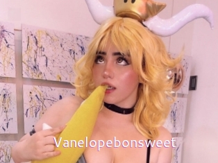 Vanelopebonsweet