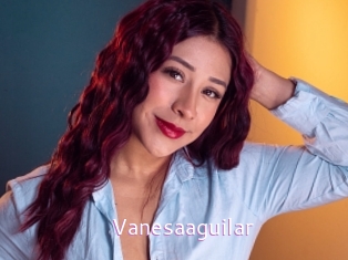 Vanesaaguilar