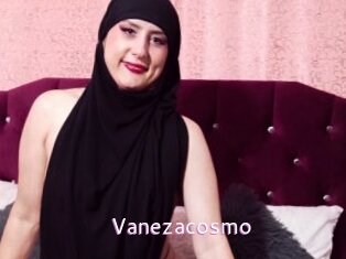 Vanezacosmo