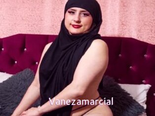 Vanezamarcial
