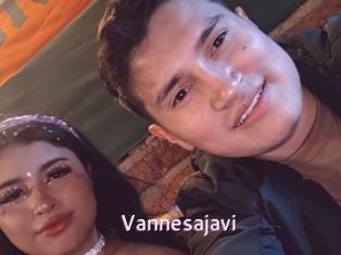 Vannesajavi