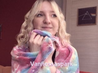 Vannessaspark