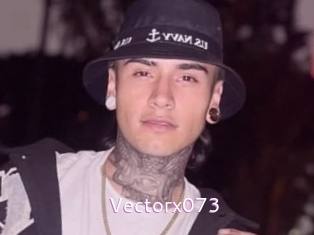 Vectorx073