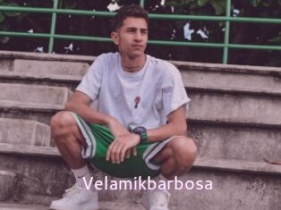 Velamikbarbosa