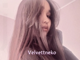 Velvettneko