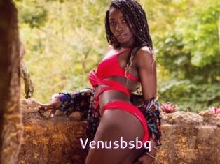 Venusbsbq