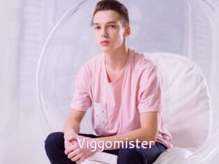 Viggomister