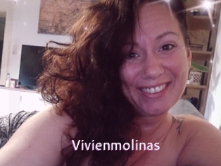 Vivienmolinas