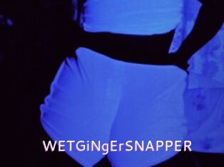 WETGiNgErSNAPPER