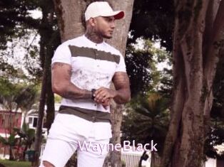 WayneBlack