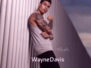 WayneDavis