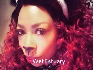WetEstuary