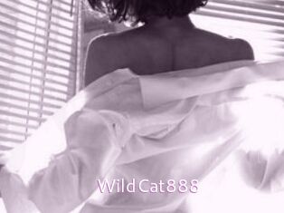 WildCat888