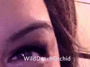 WildDutchOrchid
