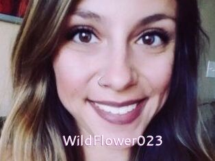 WildFlower023