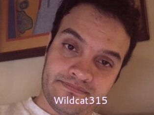 Wildcat315