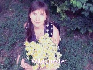 Wildcumster