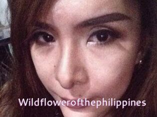 Wildflowerofthephilippines