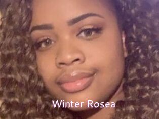 Winter_Rosea