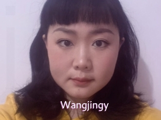 Wangjingy