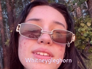 Whitneygleghorn