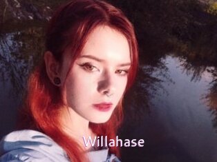 Willahase