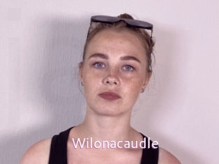 Wilonacaudle