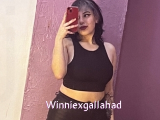 Winniexgallahad