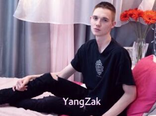 YangZak