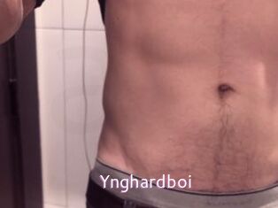 Ynghardboi