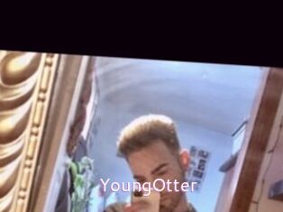 YoungOtter Just Amateurs