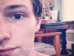Youngbudstud