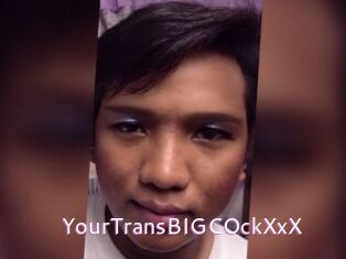 YourTransBIGCOckXxX