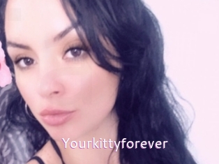 Yourkittyforever