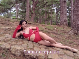 Yamconcepcion